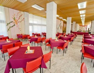 *Пансионат "Мюссера" им. Н.Лакоба